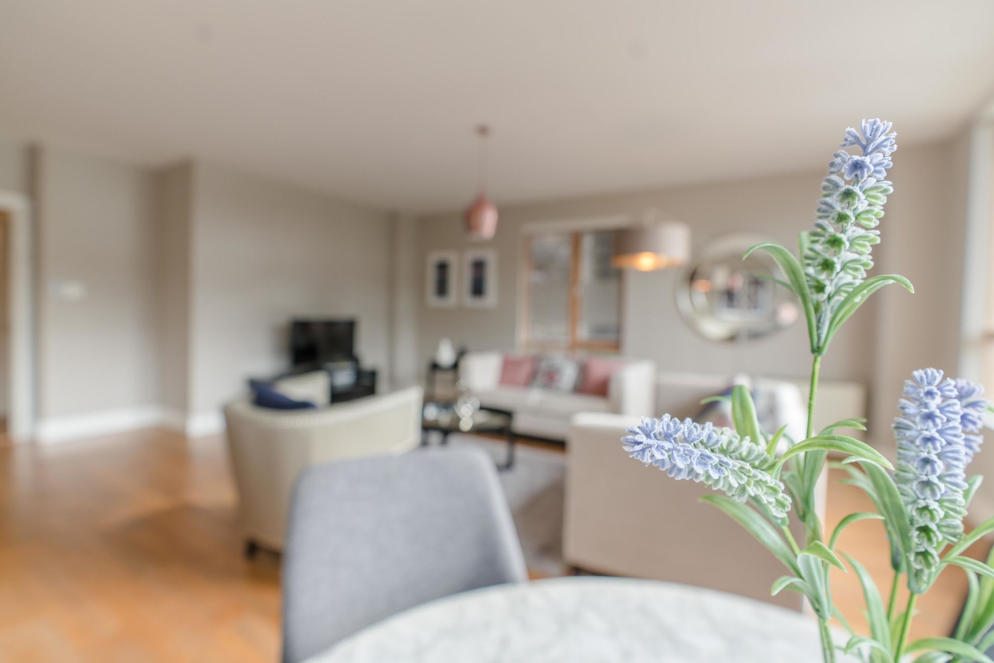 The Grand Canal Dock Apartment Dublin Eksteriør bilde